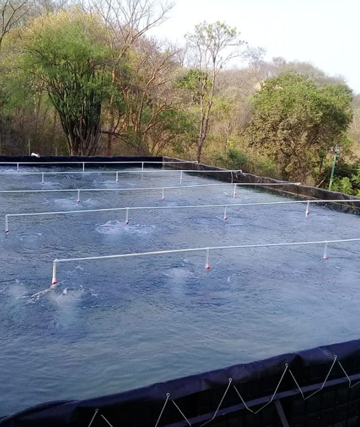 Geomembranas y Geotextiles
